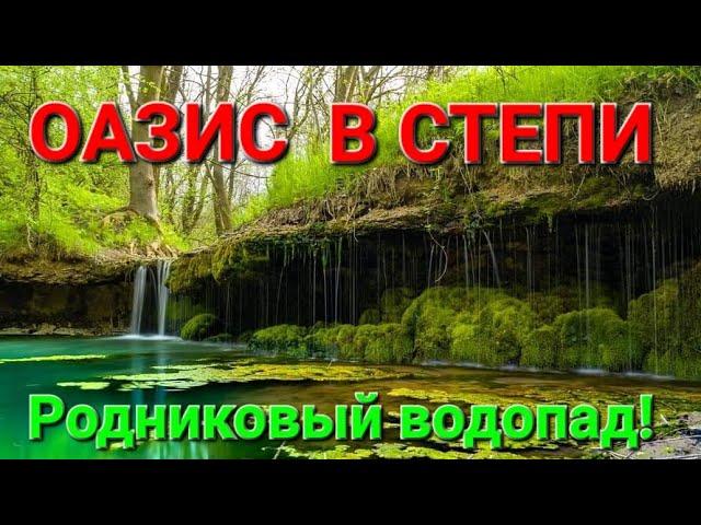 Оазис в степи. Источник Мирное. Село Семеновка. Одесса. Днестровский лиман. Джерело Мирне. #зоотроп