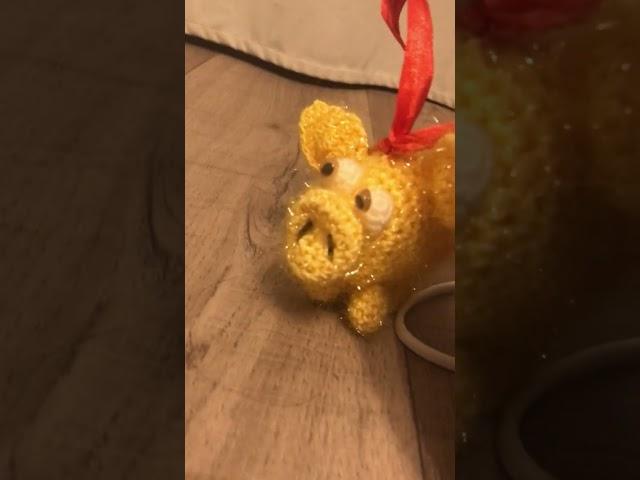 Tihon vs Yellopig