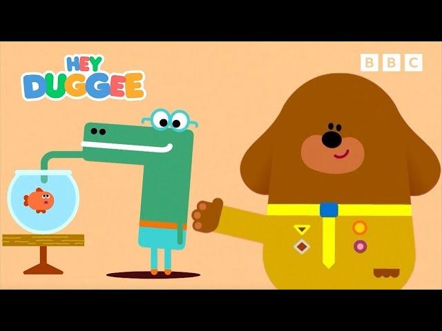 LIVE: The Best of Series 1 Part 2 | Hey Duggee