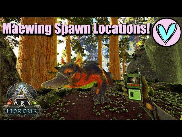 Maewing Spawn Locations! || Ark Fjordur!