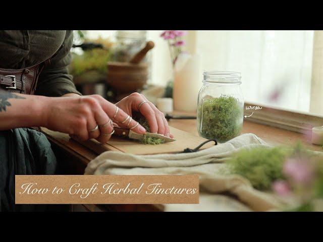 All About Crafting Tinctures | Herbal Medicine Making | How to Guide