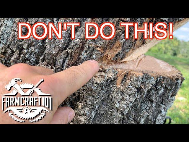 No Nonsense Guide to Tree Felling.  How to cut down a tree safely.  FarmCraft101