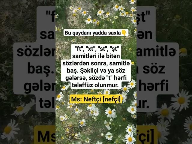 #miq#sertifikasiya#azərbaycandili#azdili#riyaziyyat#kurikulum#müəllimlik