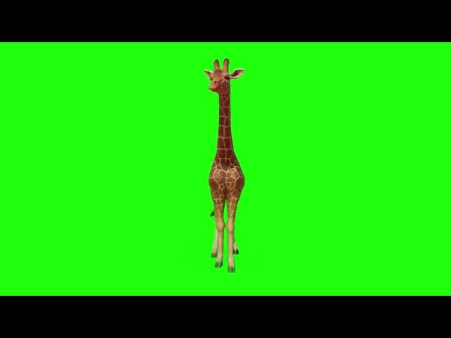 FUNDO VERDE - GREEN BACKGROUND - GIRAFA - HASI025