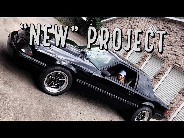 Notchback Mustang Shop Car Intro!