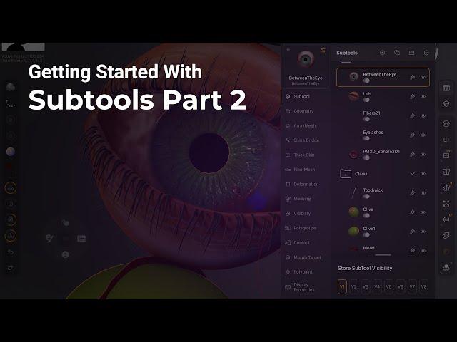 17 - ZBrush for iPad - Subtools Part 2