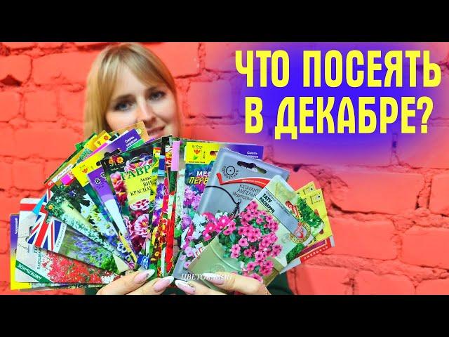 Начните СЕЗОН С ЭТИХ ЦВЕТОВ! Что посеять в декабре