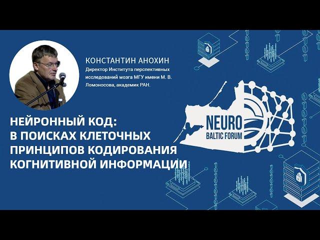 Нейронный код. Константин Анохин