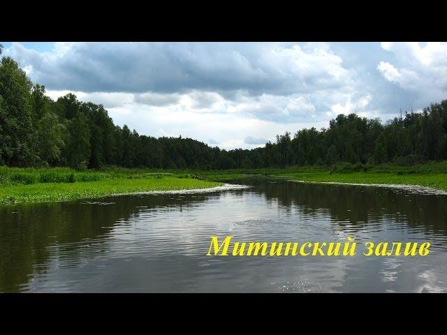 Митинский залив. Река Волга (Иваньковское водохранилище)