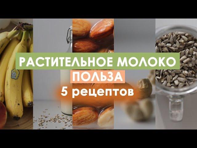 Как сделать растительное молоко?/ 5 РЕЦЕПТОВ/ + Польза растительного молока