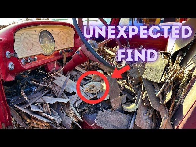 That is NOT what I Wanted to Find in this Old Barn Find Truck!