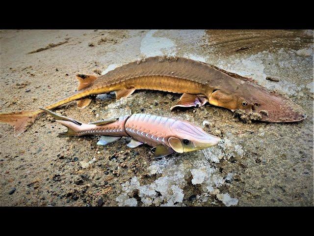 Making a Sturgeon Lure