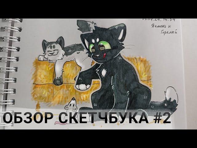 ОБЗОР СКЕТЧБУКА #2 /Коты-воители/Мои персонажи/трейды/