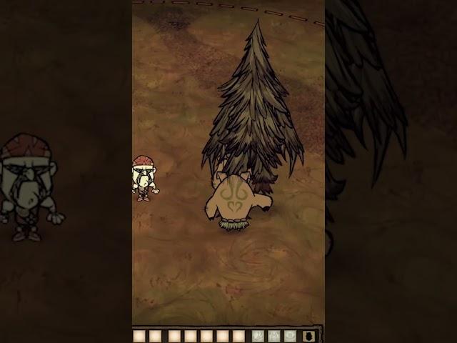 The Hidden Ninja Pigs of Don't Starve Together! #short #shorts - Don't Starve Together Guide