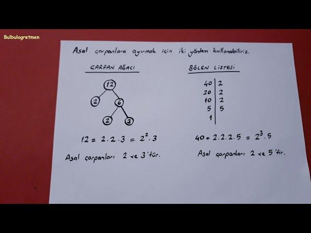 6.sınıf çarpanlar, asal çarpanlar 6th grade math @Bulbulogretmen #matematik #6sınıf #keşfet