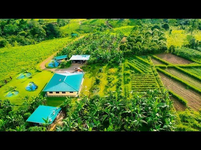 A Costa Rican Homesteader’s Dream! AquaCulture, Food Forest Kitchen, Exotic Fruit Jungles + More!