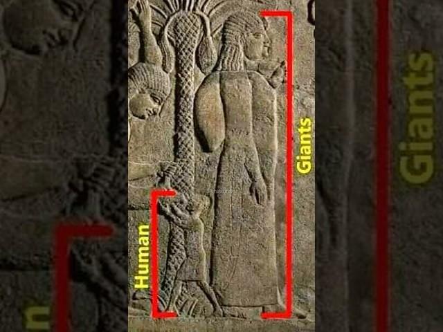 HOW Ancient Sumerians Knew the Solar System? #history #joerogan