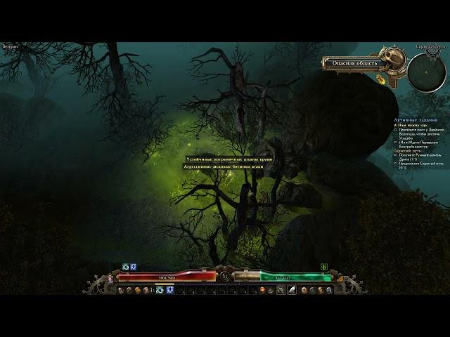 Grim Dawn Прохождение Ветеран №35 Скрытый путь Дриг