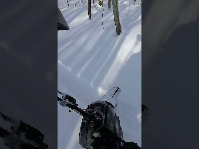 Widescape Pivot Turn