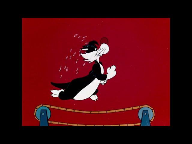 Hippety Hopper , Sylvester - name of episode "Hop Look and Listen"