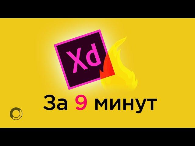 Как прототипировать в Adobe XD?