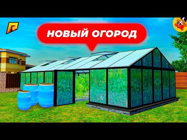 Что Лучше Сажать? Все Про Новые Огороды! (Радмир РП)