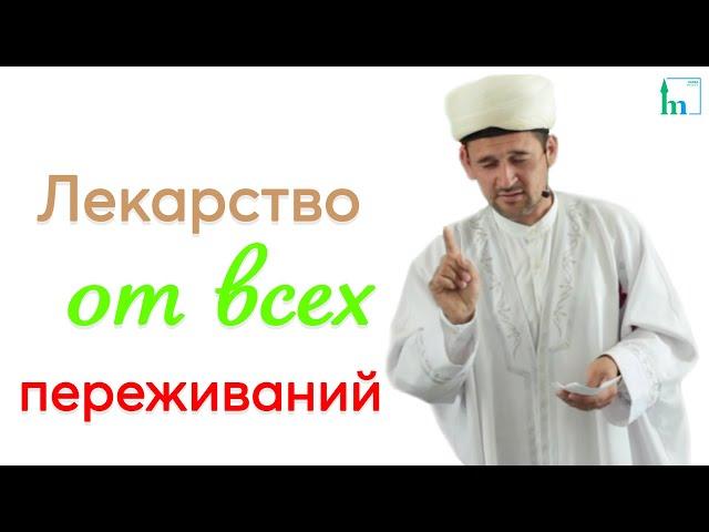 Лекарство от всех переживаний | Тулкын хазрат