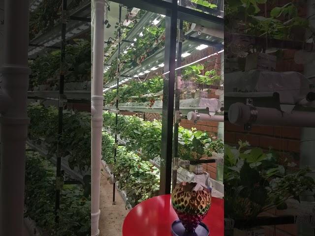 10 мая 2025 г.