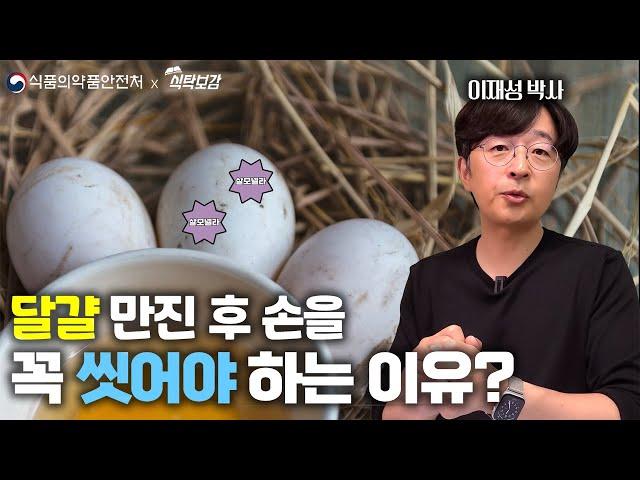 계란 만진 후 손을 꼭 씻어야 하는 이유! 음식점 살모넬라 식중독 예방요령은?