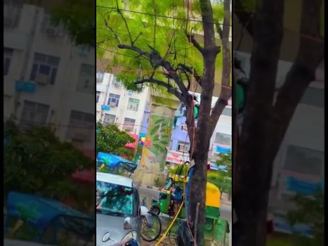 pahli barish ️ patna vlogs #shorts #beautiful #vlogger #vlog #vlogging