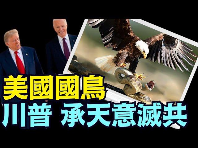 習近平蛇年本命遭遇！拜登簽法典：美國大印章上的白頭鷹 為國鳥！⋯ 《今日點擊》（12 25 24）#川普 #特朗普