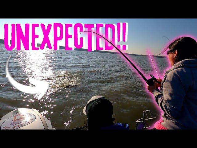 NON STOP Catfishing ACTION...But The RIGHT Fish?? (Wicked Whiskers Swanson Tournament) Part 1