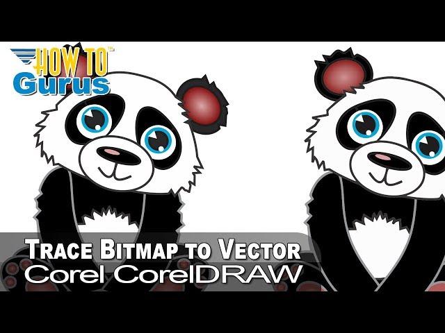 How to Trace a Bitmap to Vector Image in CorelDRAW