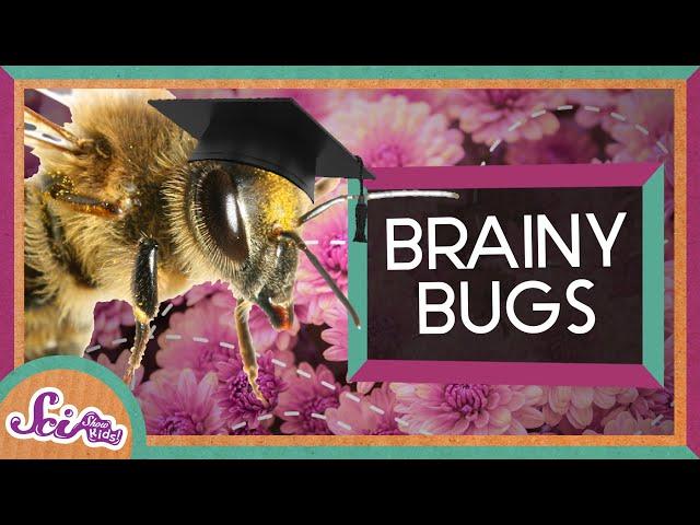 Can Bugs Think? | Storytime: Charles Henry Turner | SciShowKids