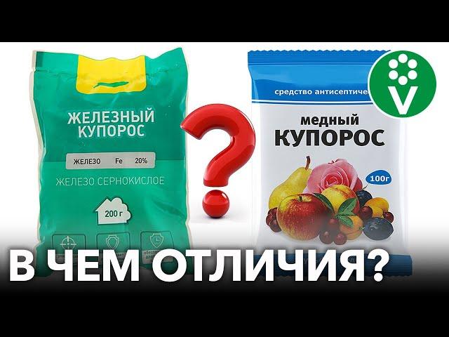 ВСЁ, ЧТО ВЫ ХОТЕЛИ ЗНАТЬ О ЖЕЛЕЗНОМ И МЕДНОМ КУПОРОСЕ - В ОДНОМ ВИДЕО!