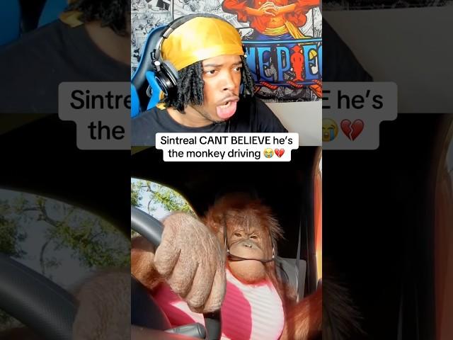 Sintreal Claims He’s The Monkey Driving