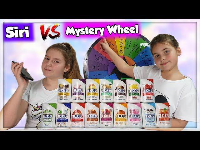 SIRI VS MYSTERY WHEEL SLIME CHALLENGE !