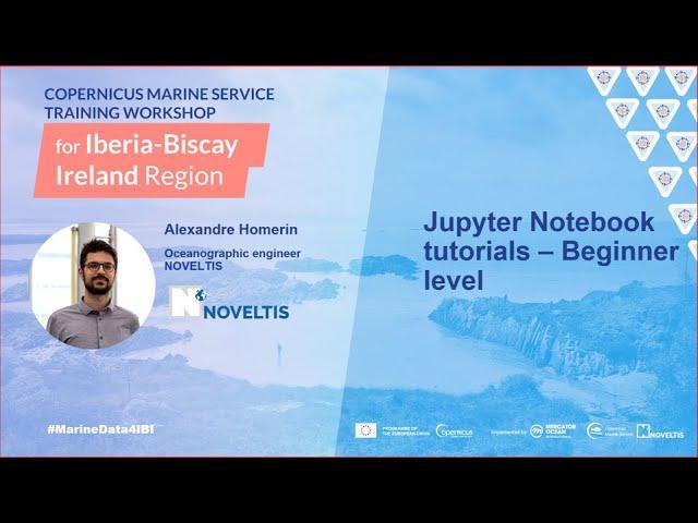 Copernicus Marine Service Training Workshop for IBI - Jupyter Notebook tutorial - Beginner level