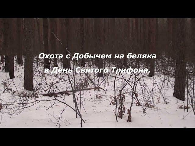 Удачная охота с Добычем 14 02 2023  Святой Трифон послал нам удачу!