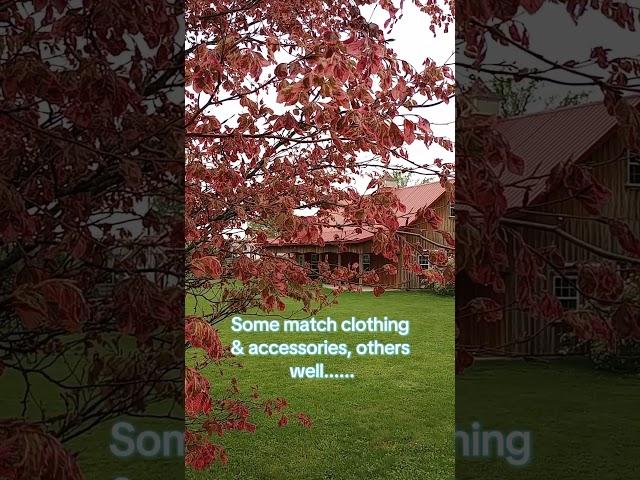 A matching tree for your roof #matchingcolors #redtree #landscapedesign #rooftop