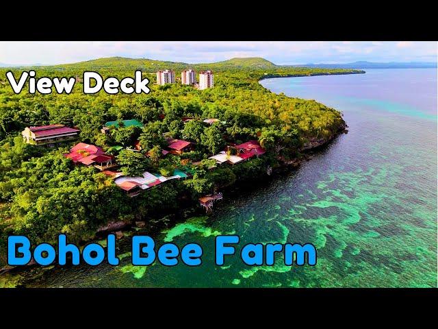 Bohol Ep - 25 | Bohol Bee Farm | View Deck | Homemade Coconut ice Cream | Panglao island | Cebu - 99