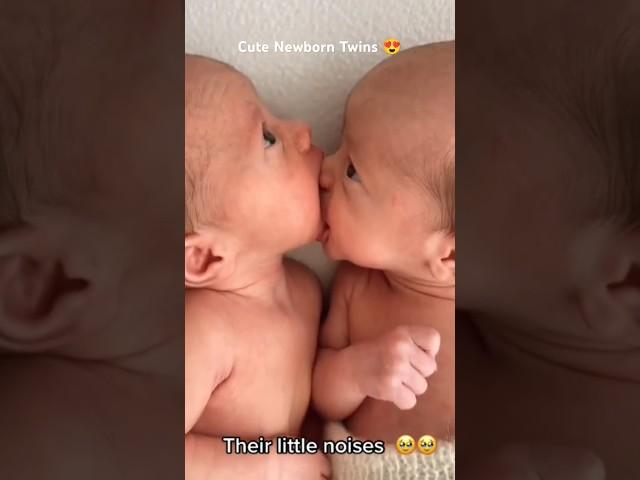 The precious moments of newborn twins babies ️