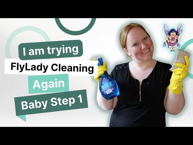 FlyLady Baby Steps Day 1 | Shine Your Sink | Trying FlyLady Again | Does FlyLady Cleaning Work?