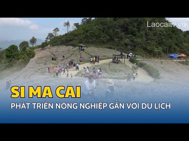 Phát triển nông nghiệp gắn với du lịch ở Si Ma Cai | THLC