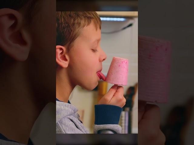 Two Ingredient Strawberry Ice Cream 