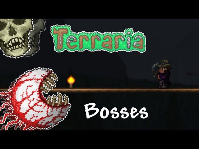 Terraria 1.4 | The Guide to ALL Bosses