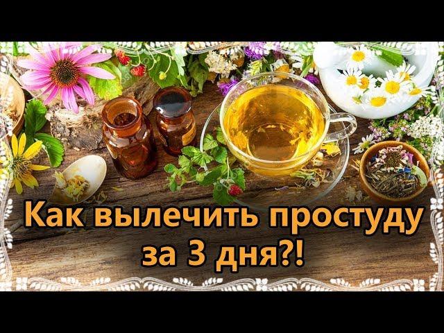 КАК ВЫЛЕЧИТЬ ПРОСТУДУ ЗА 3 ДНЯ?! БЕЗ ТАБЛЕТОК И ЛЕКАРСТВ!