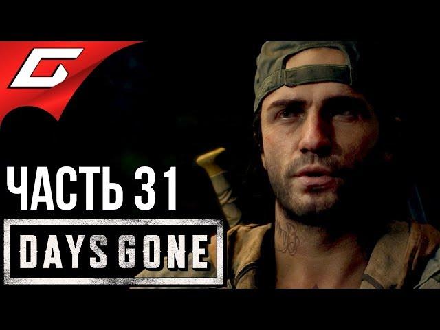 DAYS GONE (Жизнь После)  Прохождение #31  ПЕРВАЯ ОРДА