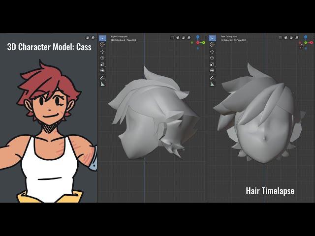 3D Cass hair timelapse