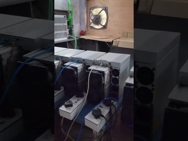 Upgrade Done ASIC Bitman S19 and Hydro ASIC #mining #bitcoin #shorts